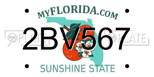 2BV567 Florida License Plate