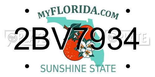 2BV7934 Florida License Plate