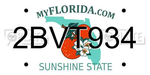 2BVT934 Florida License Plate