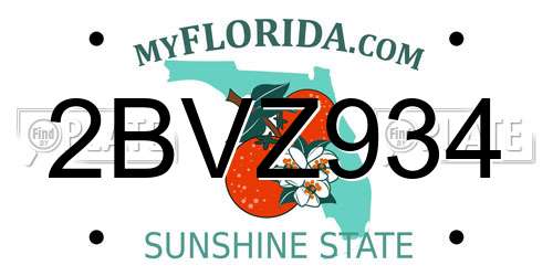 2BVZ934 Florida License Plate