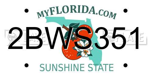 2BWS351 Florida License Plate