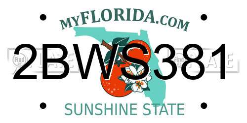 2BWS381 Florida License Plate