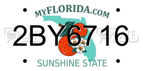 2BY6716 Florida License Plate