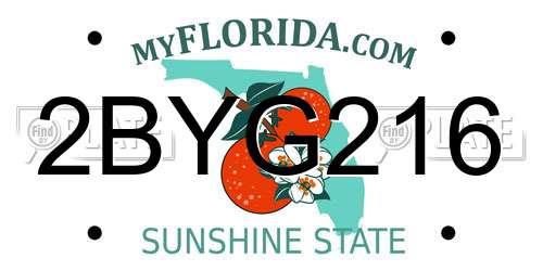 2BYG216 Florida License Plate