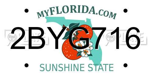 2BYG716 Florida License Plate