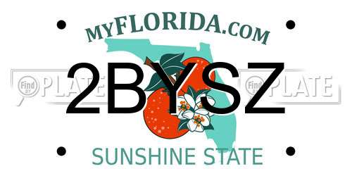 2BYSZ Florida License Plate
