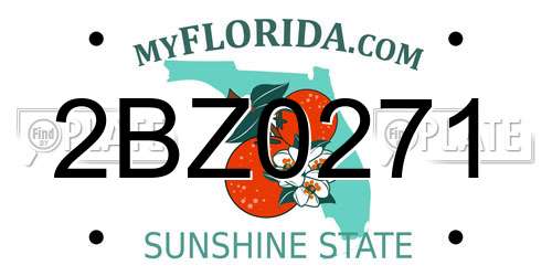 2BZ0271 Florida License Plate