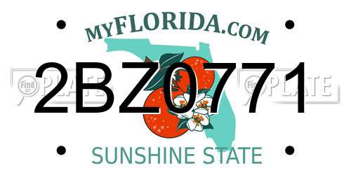 2BZ0771 Florida License Plate