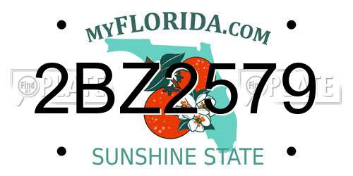 2BZ2579 Florida License Plate