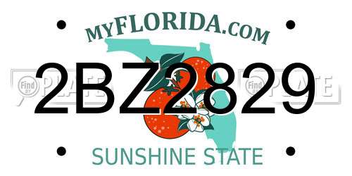 2BZ2829 Florida License Plate