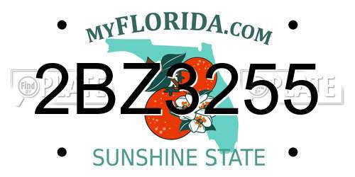 2BZ3255 Florida License Plate
