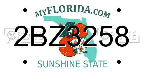 2BZ3258 Florida License Plate