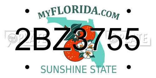 2BZ3755 Florida License Plate