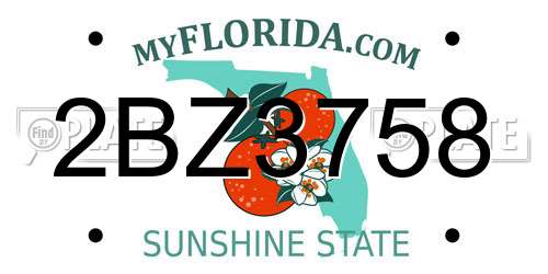 2BZ3758 Florida License Plate