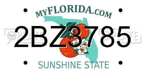 2BZ3785 Florida License Plate