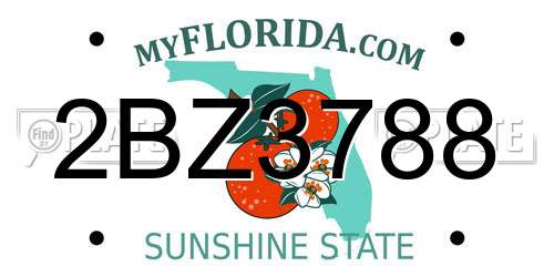 2BZ3788 Florida License Plate