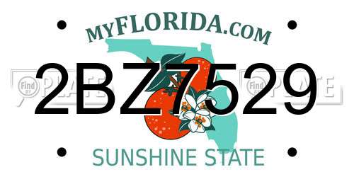 2BZ7529 Florida License Plate