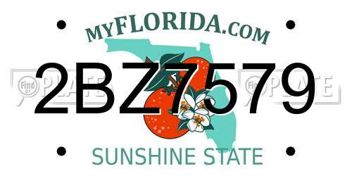 2BZ7579 Florida License Plate