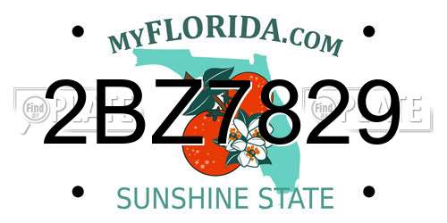 2BZ7829 Florida License Plate