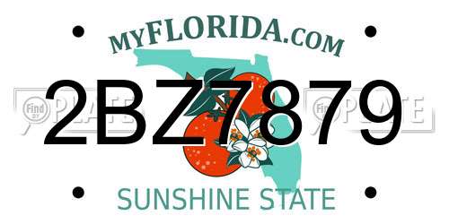 2BZ7879 Florida License Plate