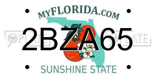 2BZA65 Florida License Plate
