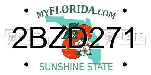 2BZD271 Florida License Plate
