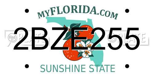 2BZE255 Florida License Plate