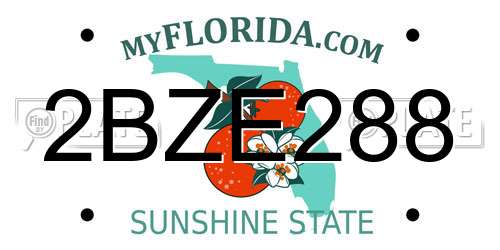 2BZE288 Florida License Plate