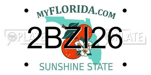 2BZI26 Florida License Plate