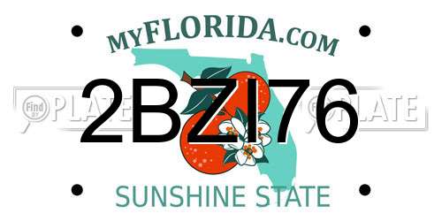 2BZI76 Florida License Plate
