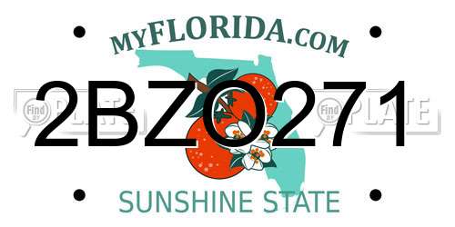 2BZO271 Florida License Plate