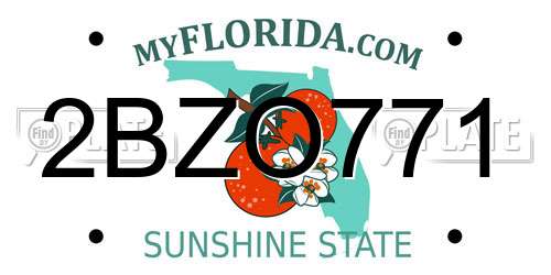 2BZO771 Florida License Plate