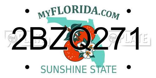 2BZQ271 Florida License Plate