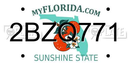 2BZQ771 Florida License Plate