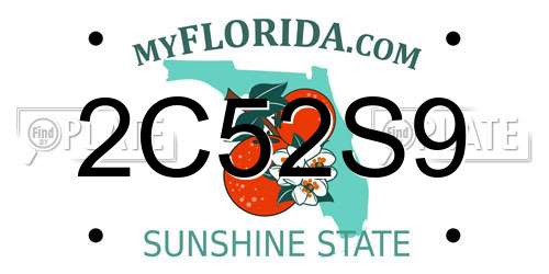 2C52S9 Florida License Plate