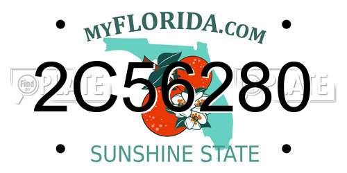 2C56280 Florida License Plate