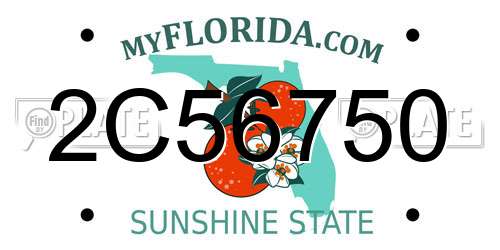 2C56750 Florida License Plate