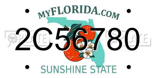 2C56780 Florida License Plate