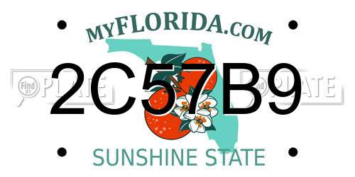 2C57B9 Florida License Plate