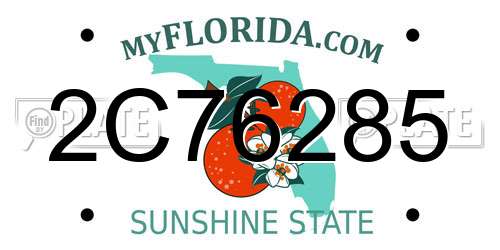 2C76285 Florida License Plate