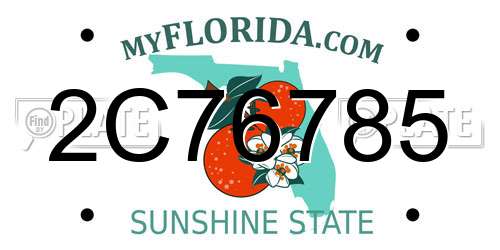 2C76785 Florida License Plate
