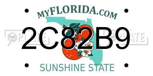 2C82B9 Florida License Plate