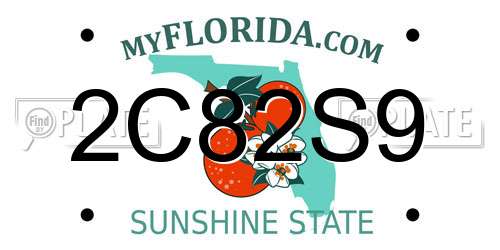 2C82S9 Florida License Plate