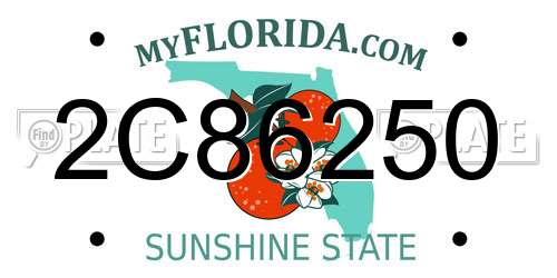 2C86250 Florida License Plate