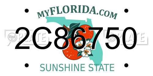 2C86750 Florida License Plate