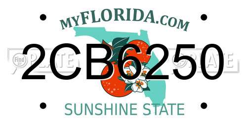 2CB6250 Florida License Plate