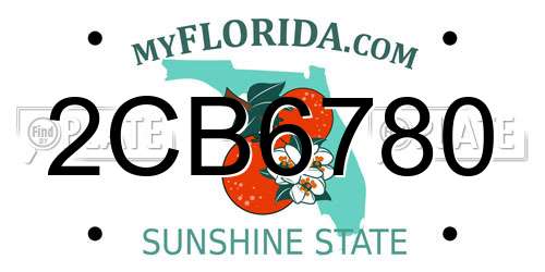2CB6780 Florida License Plate