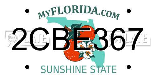 2CBE367 Florida License Plate