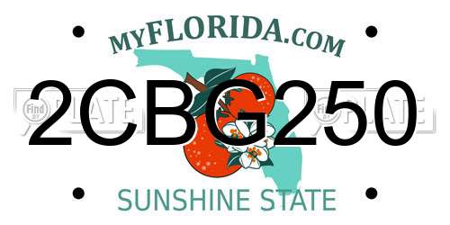 2CBG250 Florida License Plate