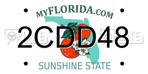 2CDD48 Florida License Plate